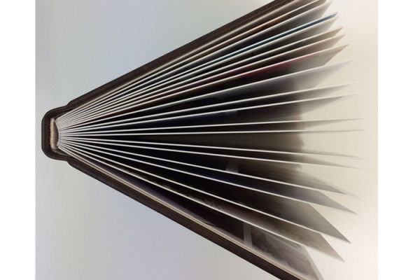 20х20см. Натуральная кожа 2